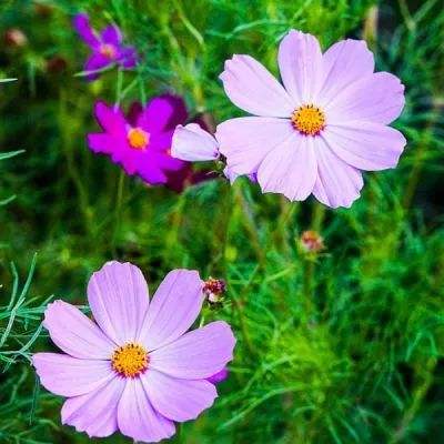 am8亚美ag旗舰厅官网手机app下载